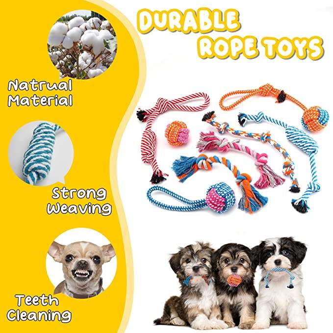 PET Supplies