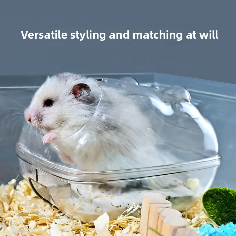 hamster