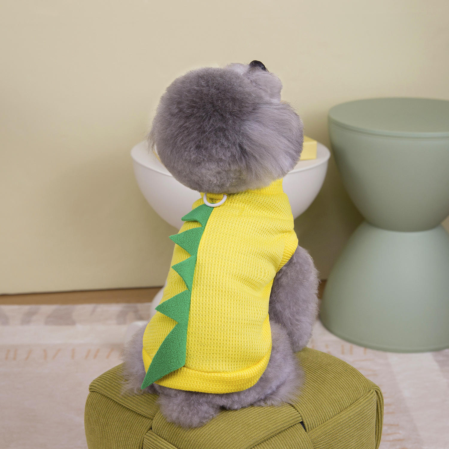 Pet Apparel & Accessories