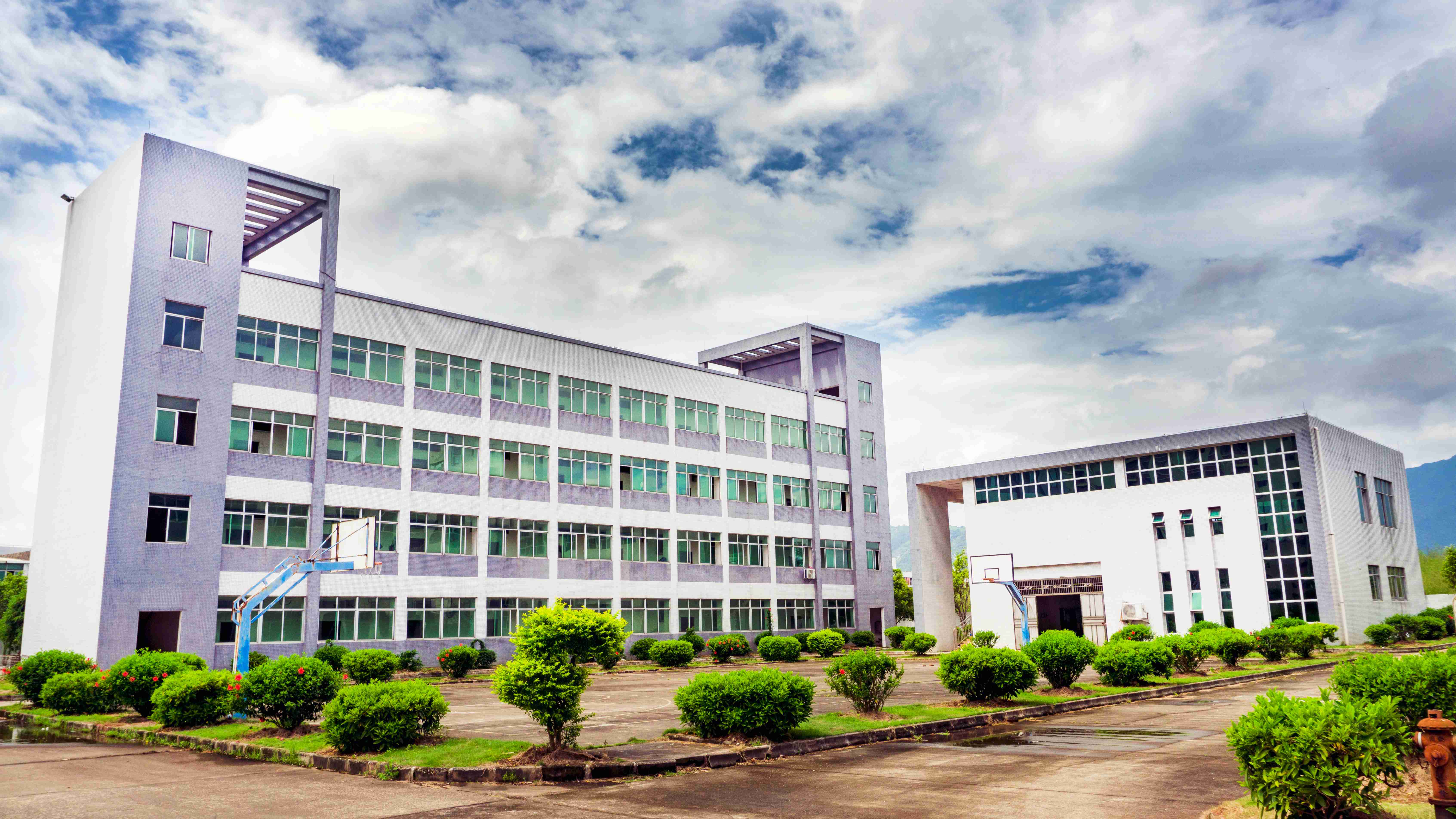 Supplier Album Image