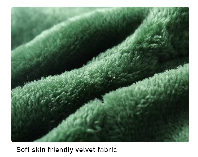 Pet Apparel & Accessories