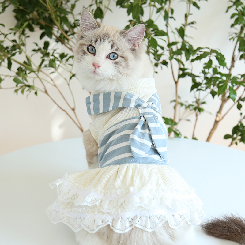 Pet Clothing & Accessories
