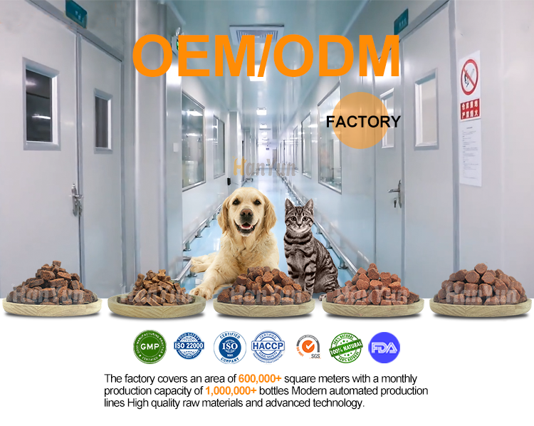 Cat Treat Supplement