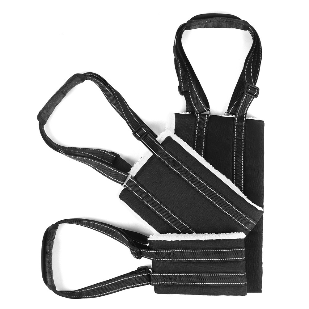 Pet collars and leashes