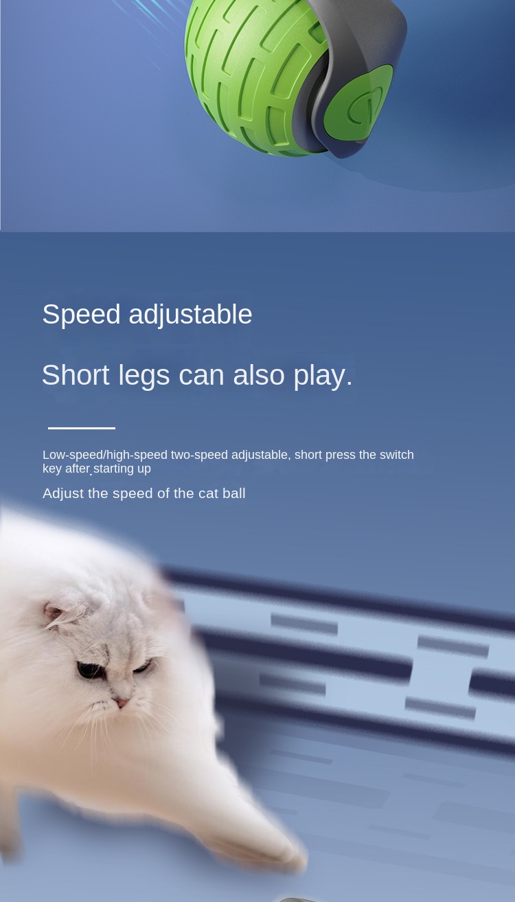 Daily Essentials & Toys