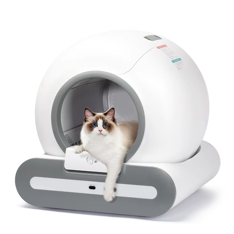 Cat Litter Box&Accessories
