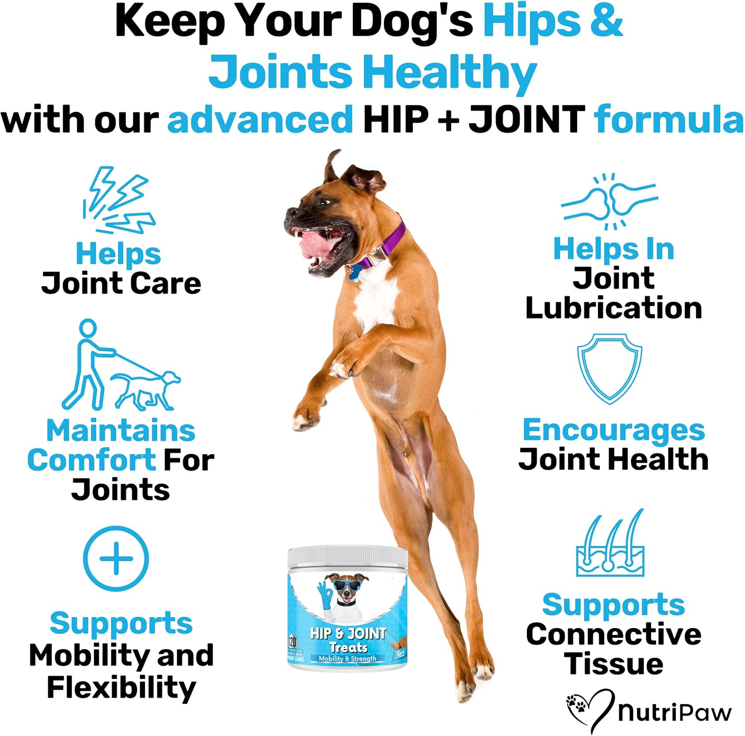 Hip & Joint