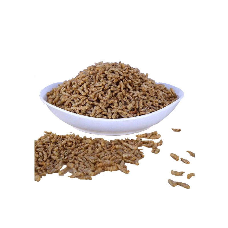 Dried Mealworm Powder