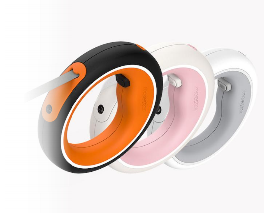 Dog Training & Travel