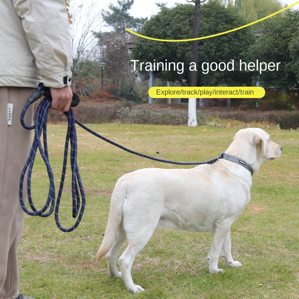 Pet collar&leash&harness