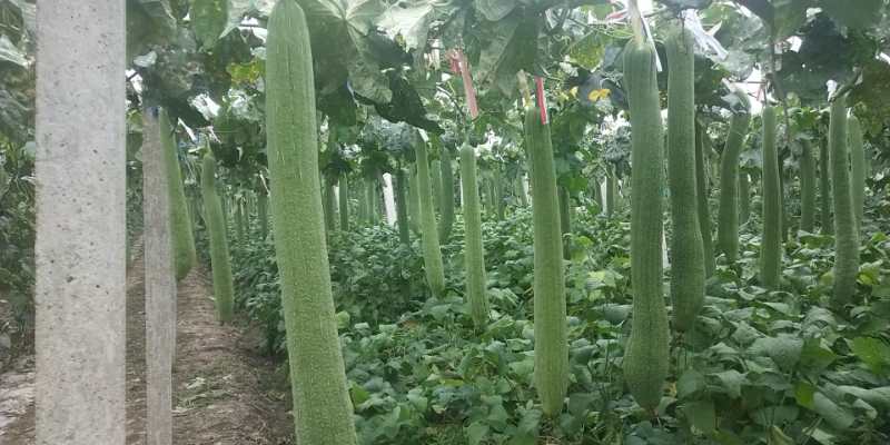 Supplier Album Image