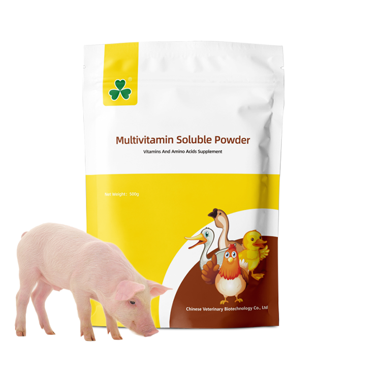 Premix and Concentrate Feed