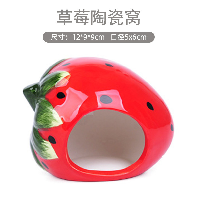 Small Animals& Reptiles