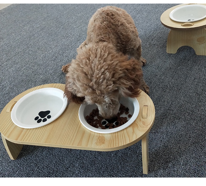 Pet Bowls & Feeders