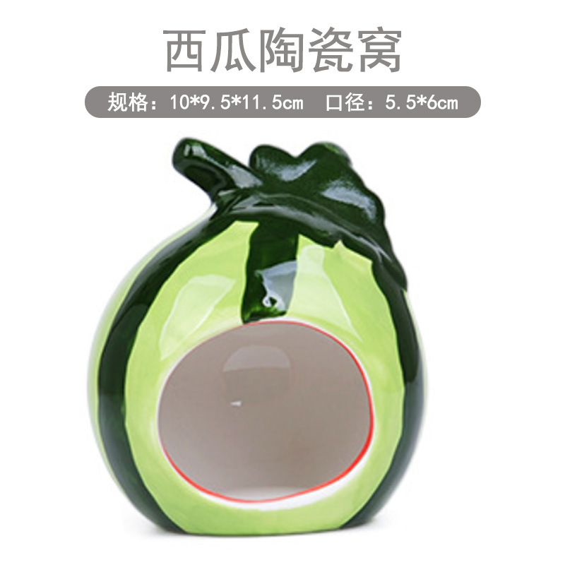 小动物和爬行动物