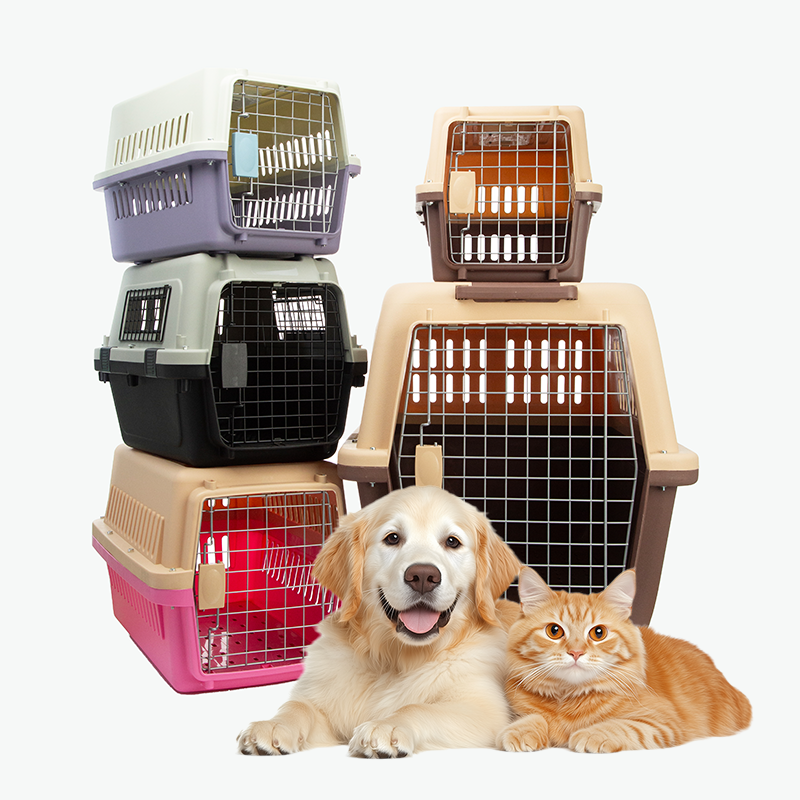 Pet Cage & Carriers