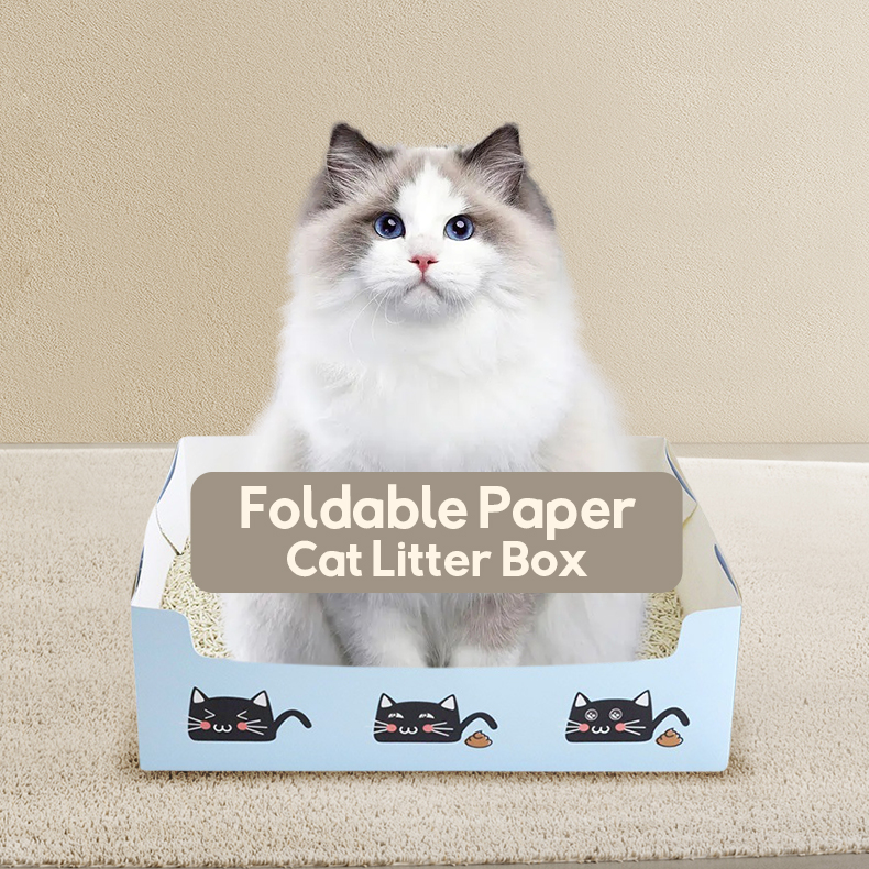Cat Litter Accessories