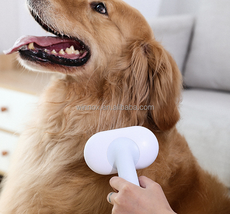 Pet Grooming & Cleaning