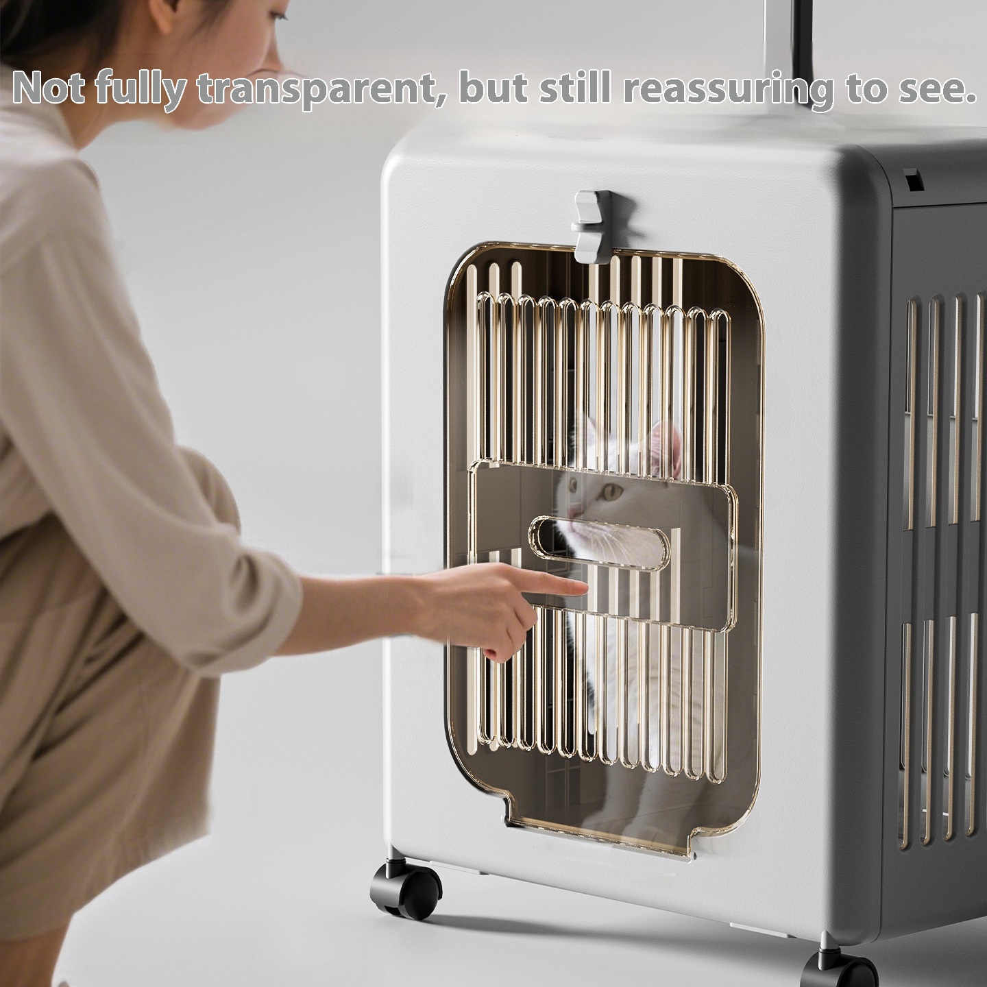 Pet travel suitcase