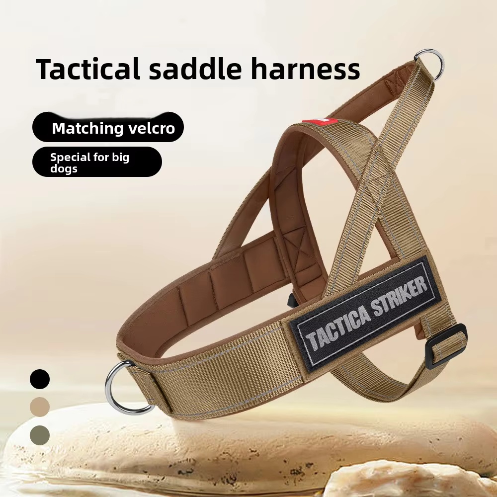 Pet Collars & Harness