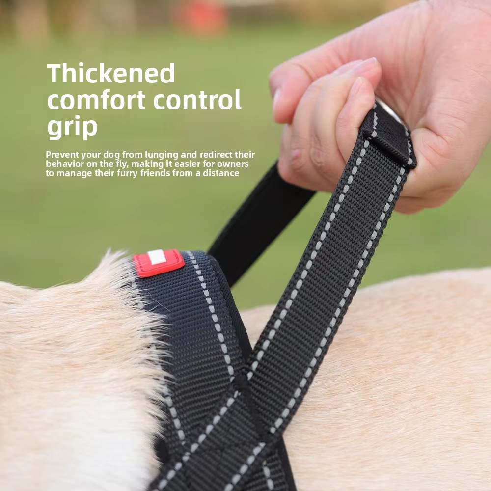 Pet Collars & Harness