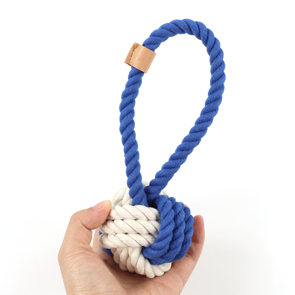 2025热门宠物玩具