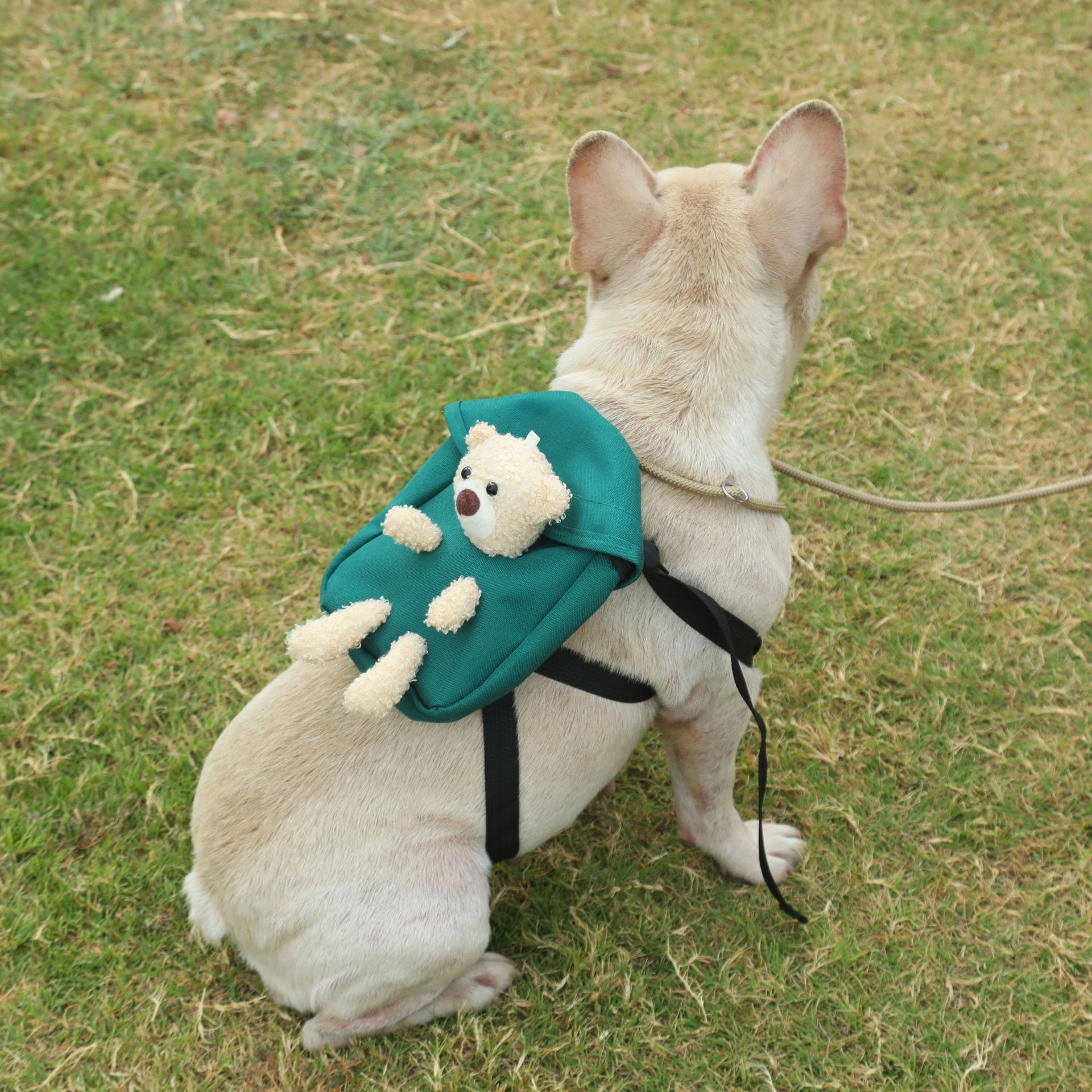 Pets-Pet Travel Outdoor