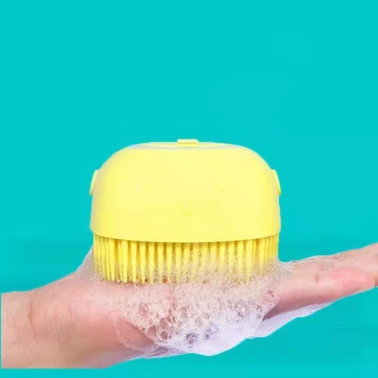 Pet-Pet Grooming Clean