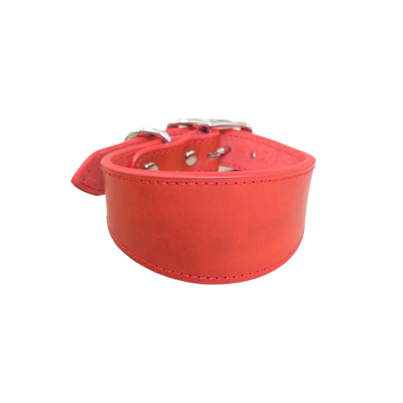 Pets-Pet Fashion Accessories