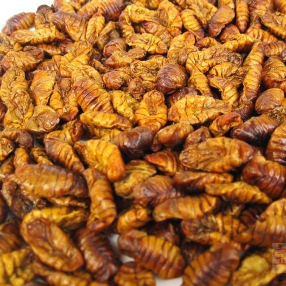 Dried Silkworm Pupa