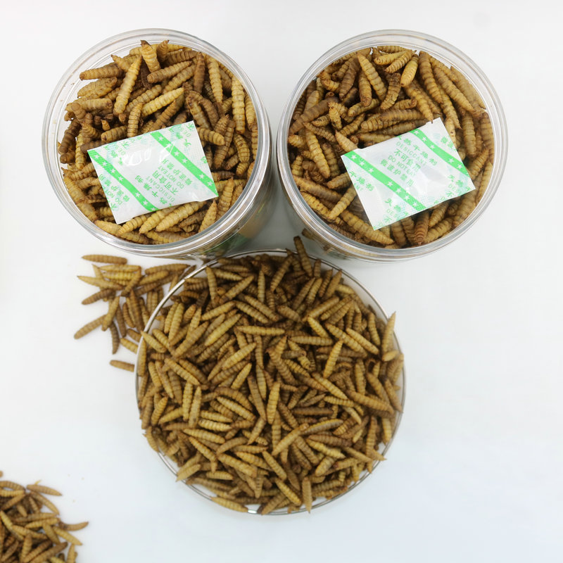 Dried Black Soldier Fly Larvae