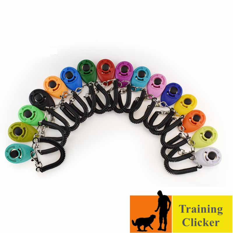 Pet Trainng Products