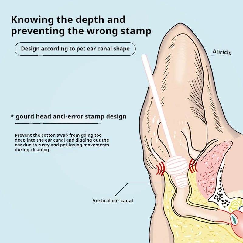 宠物清洁与健康