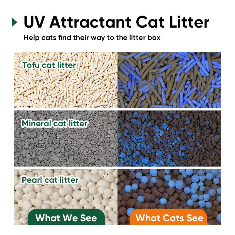 UV attractant cat litter