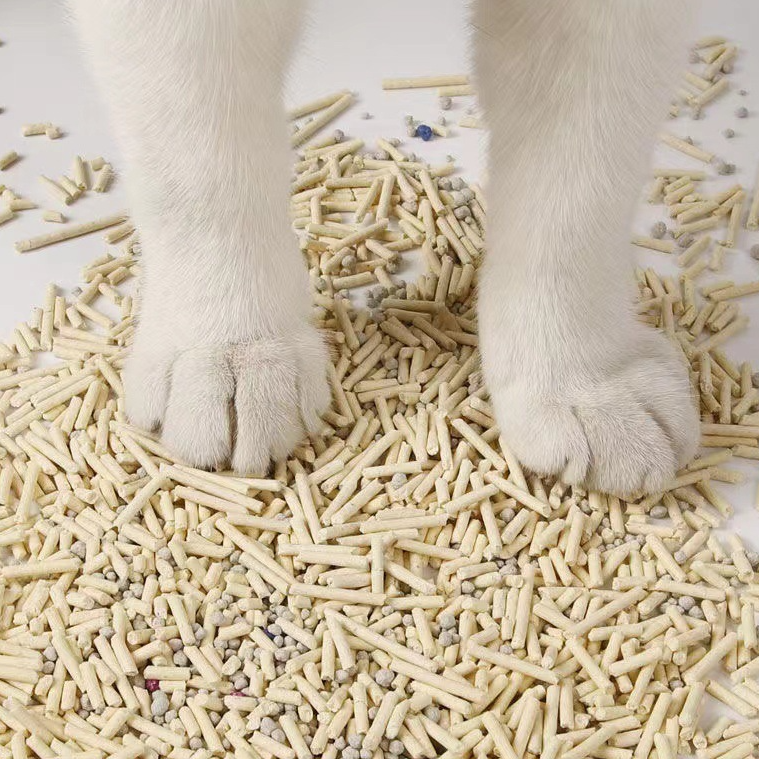 猫砂