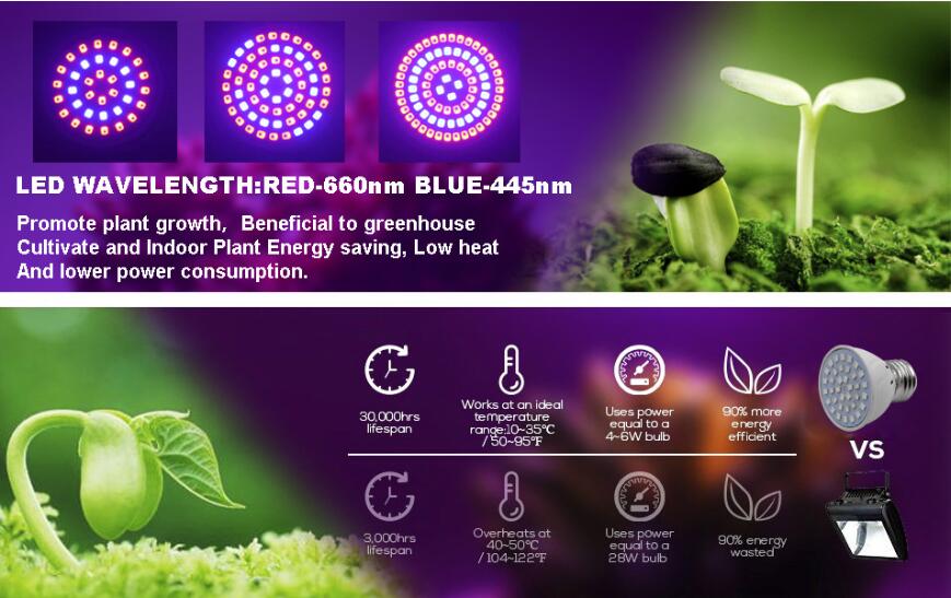 LED Plant Growth Light