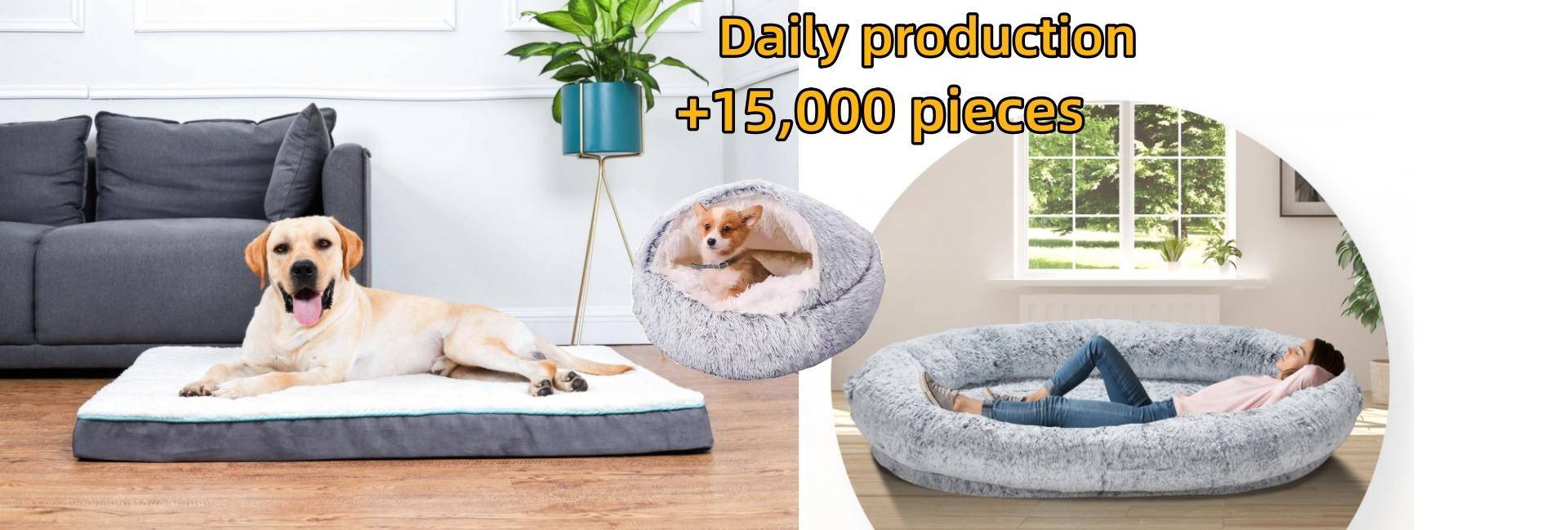 Shaanxi Watas Technology Co., Ltd.