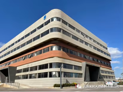 Tea Concentrate Liquid