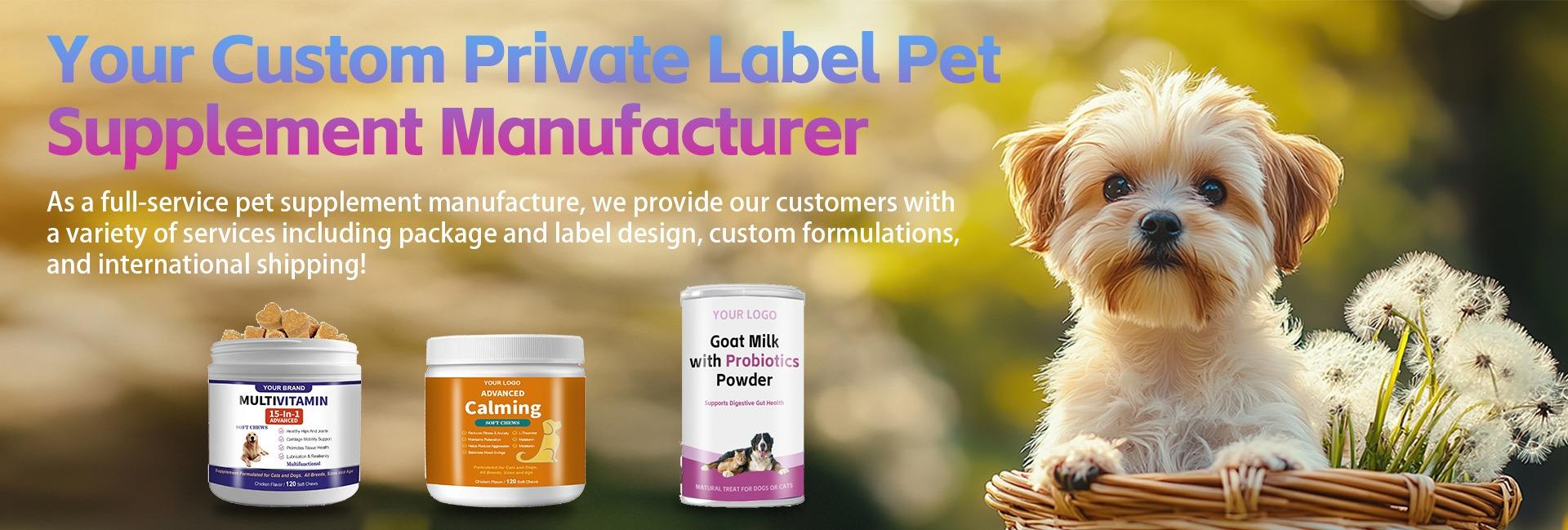 Shandong Feelshine Healthcare Co., Ltd.