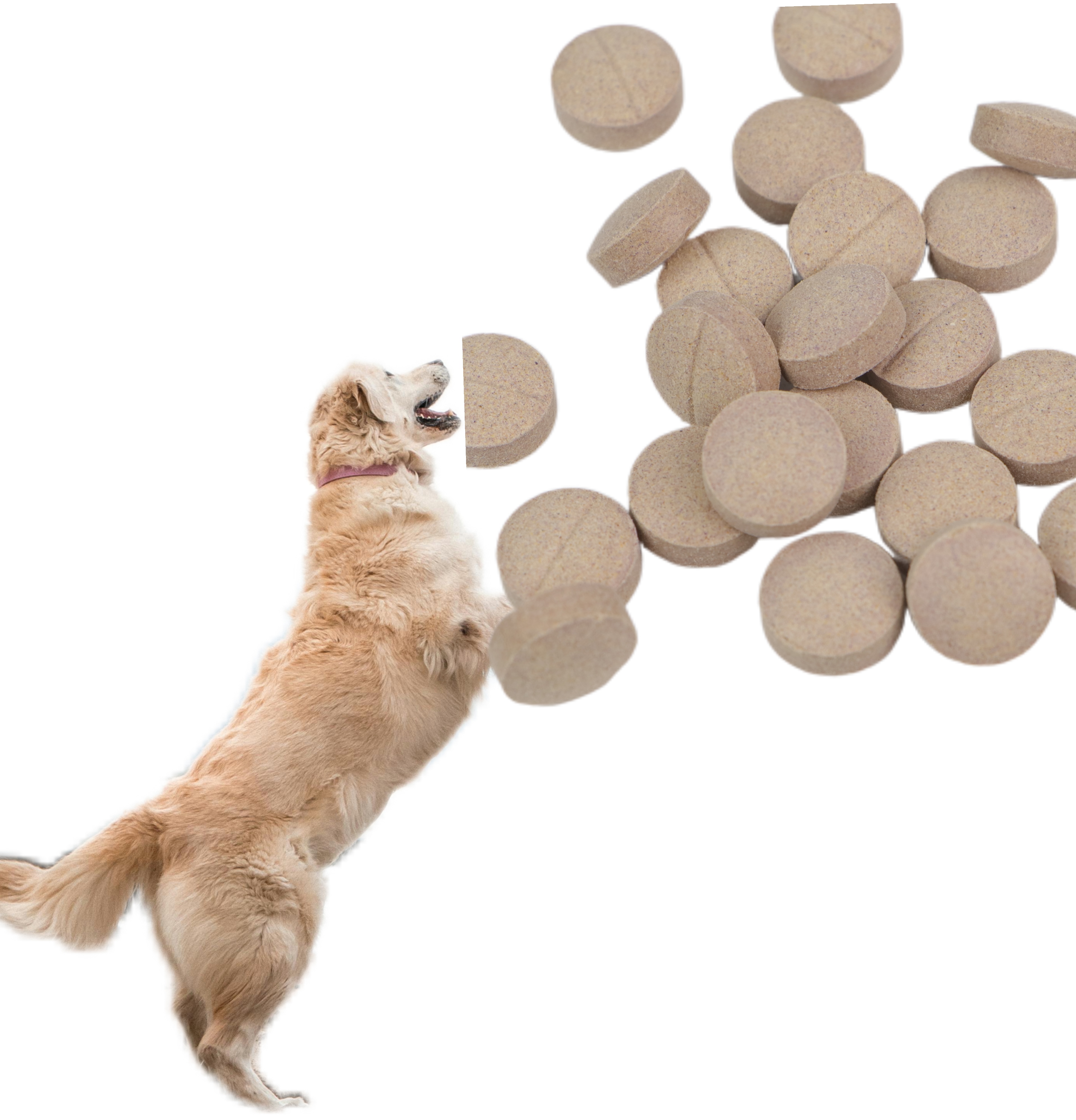 Pet Tablet Supplement