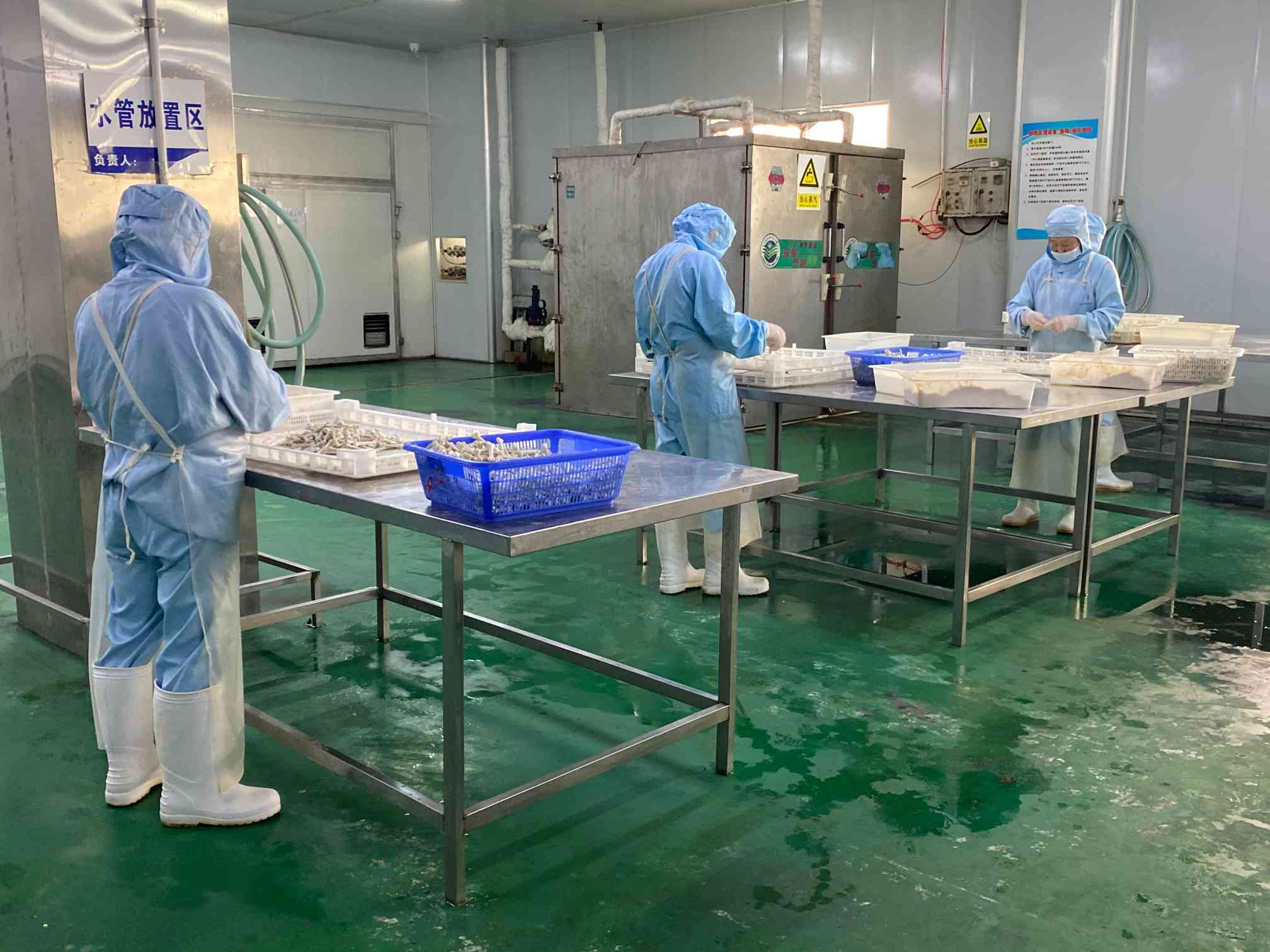 Supplier Album Image