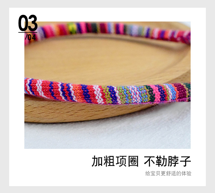 Pet Collars & Leashes