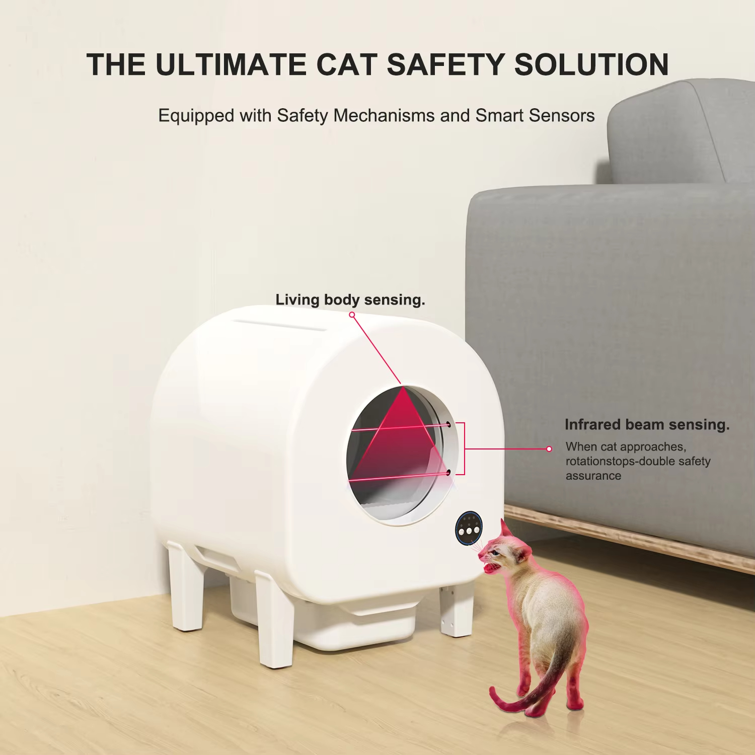 Cat Toilet and accessories