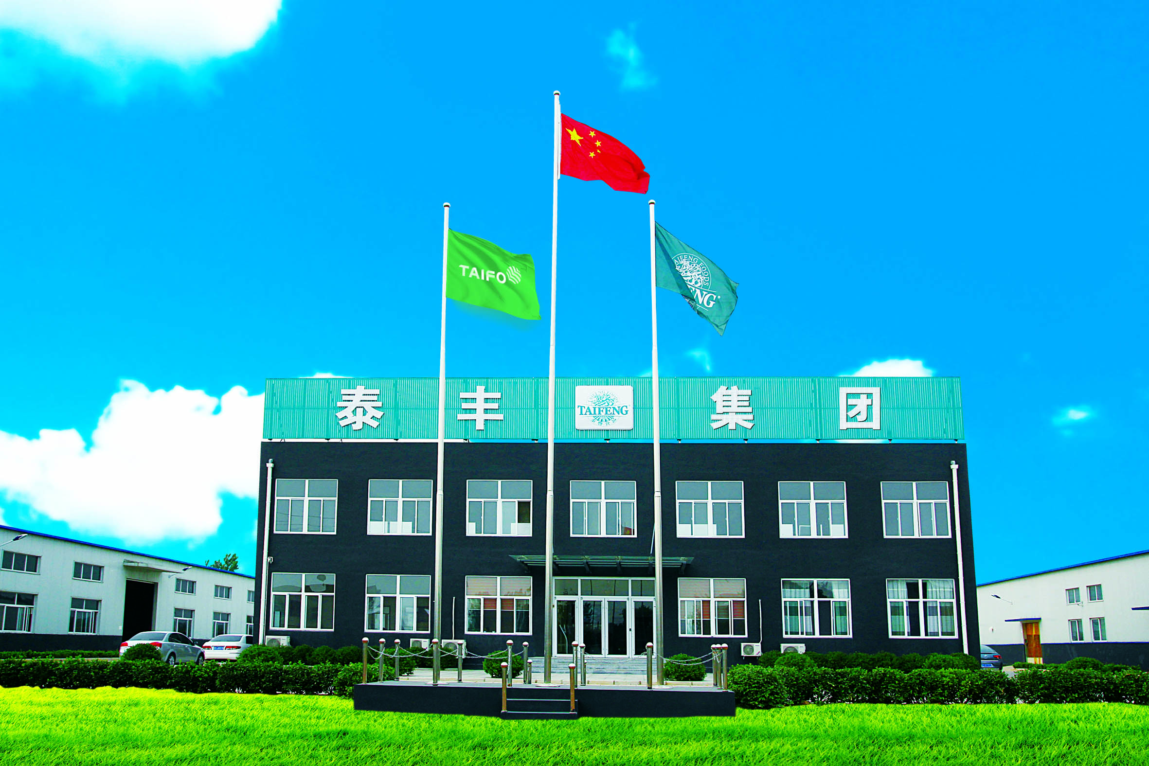 Supplier Album Image