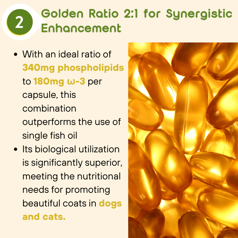 宠物保健和补品
