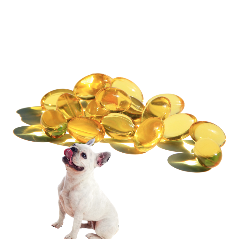 Pet Health Care & Supplements