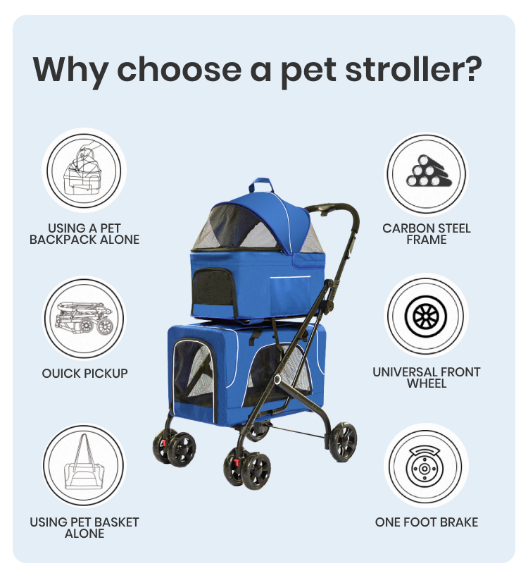 Pet Air Transport Box