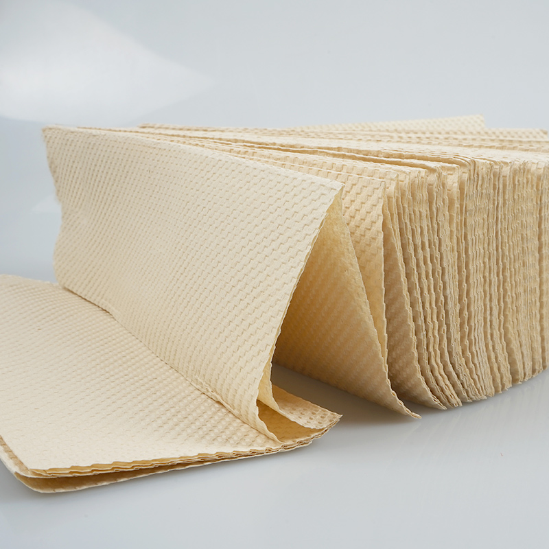 Hand Paper Towel