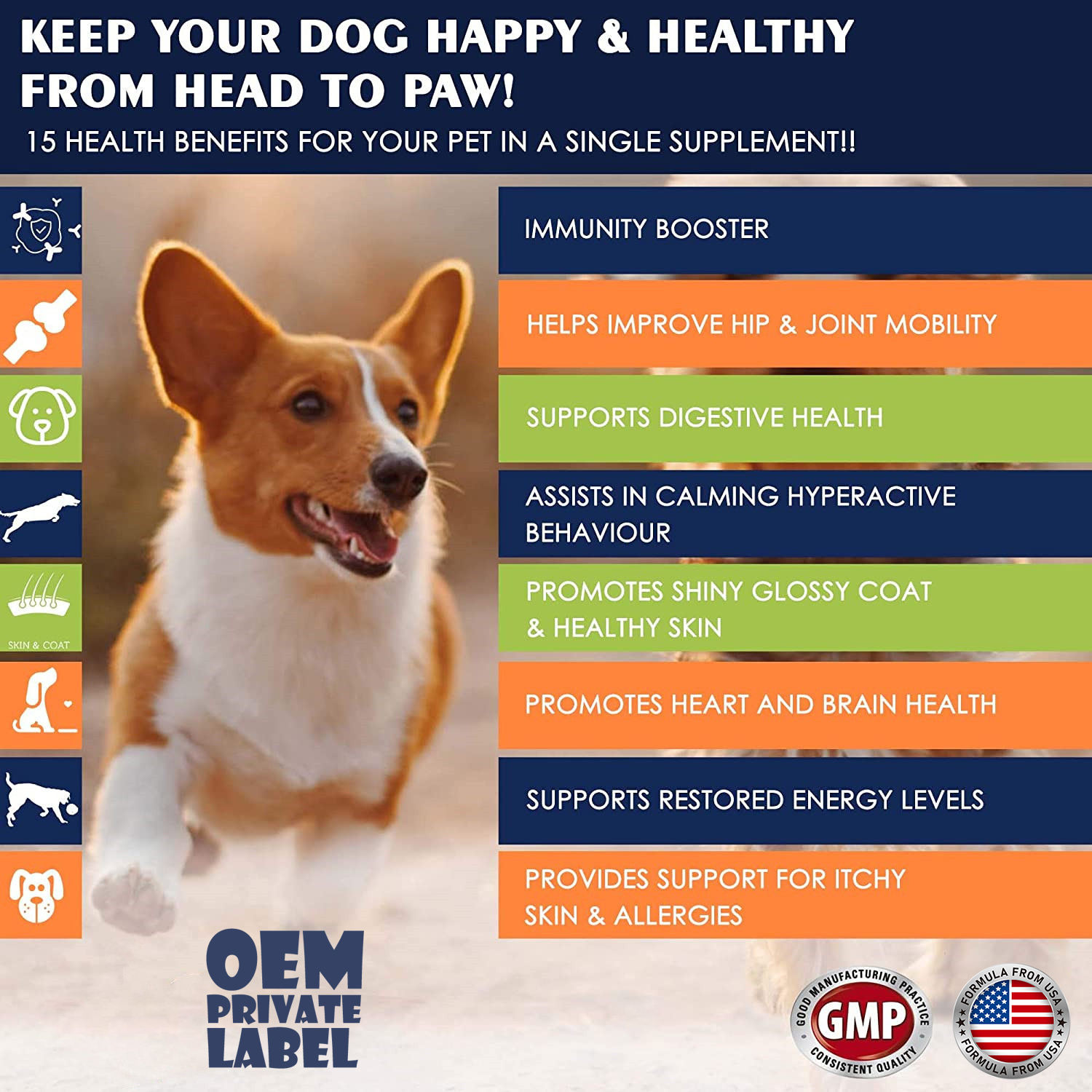 Pet Complex Functional Supplement