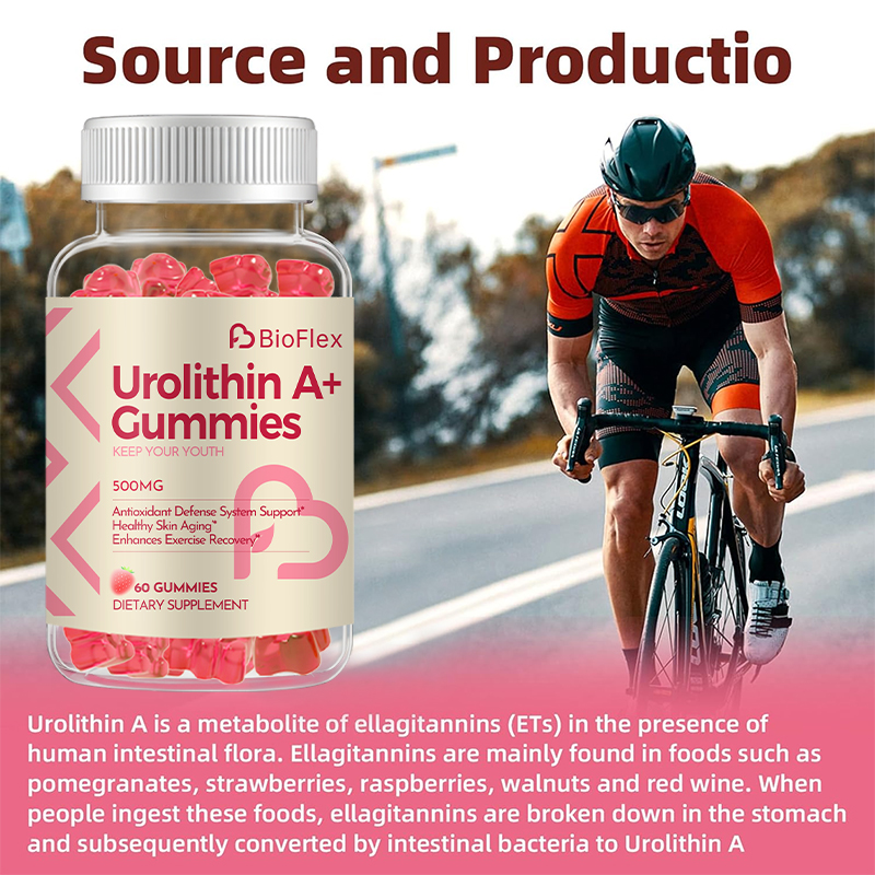 Gummies Supplement
